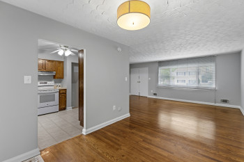 Large LR Repalcement Window allows light to shine in