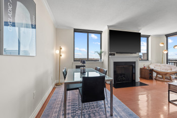 Gas fireplace