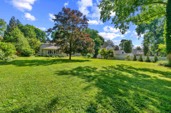 Expansive green lawn with mature trees providing shade