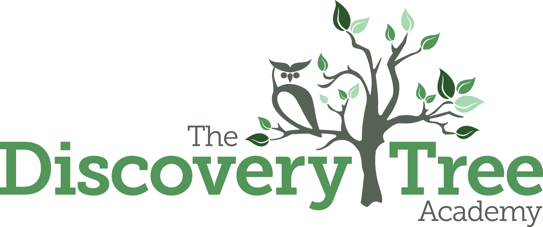 The Discovery Tree Academy
