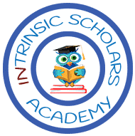 Intrinsic Scholars Academy