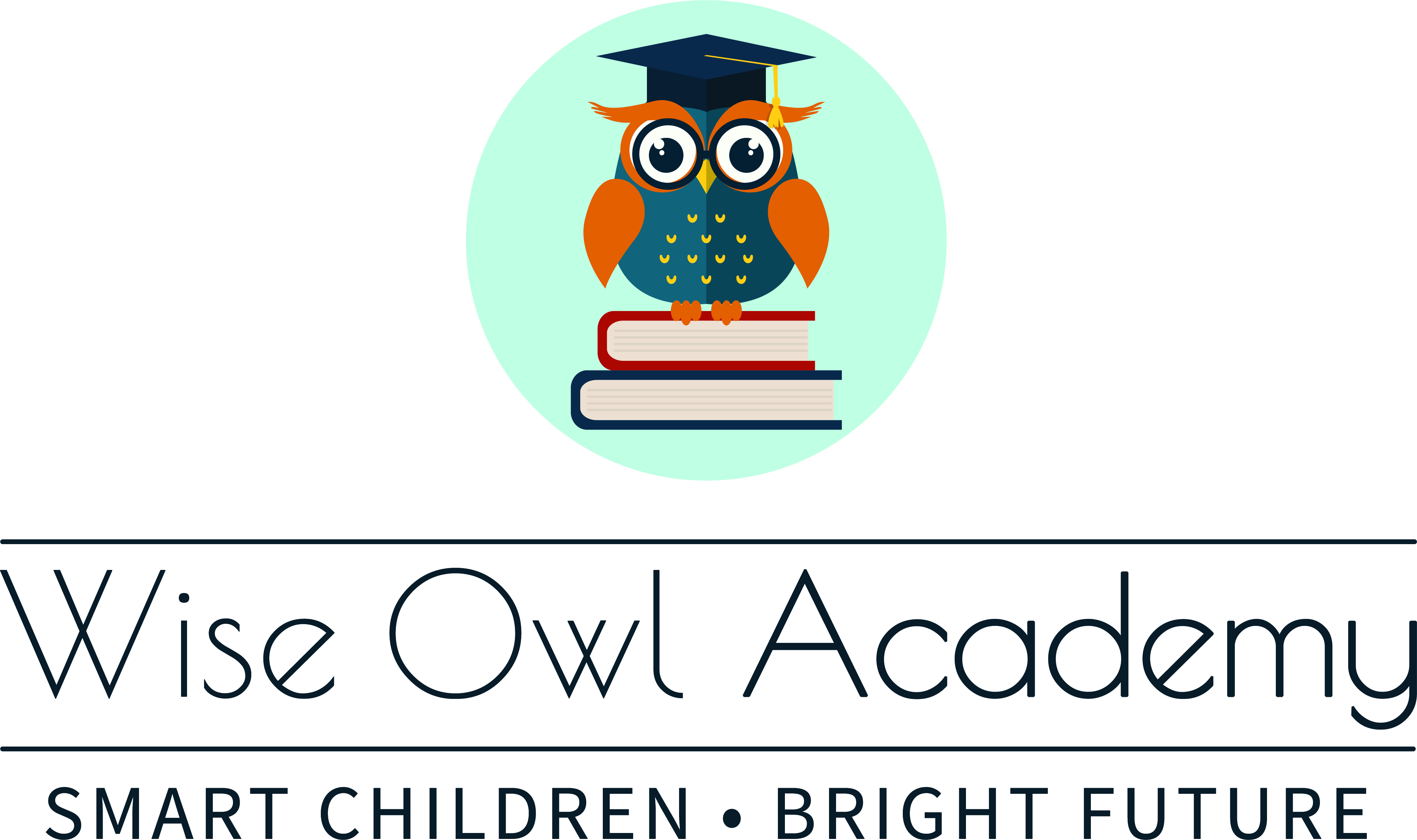 Wise Owl Academy Nashua