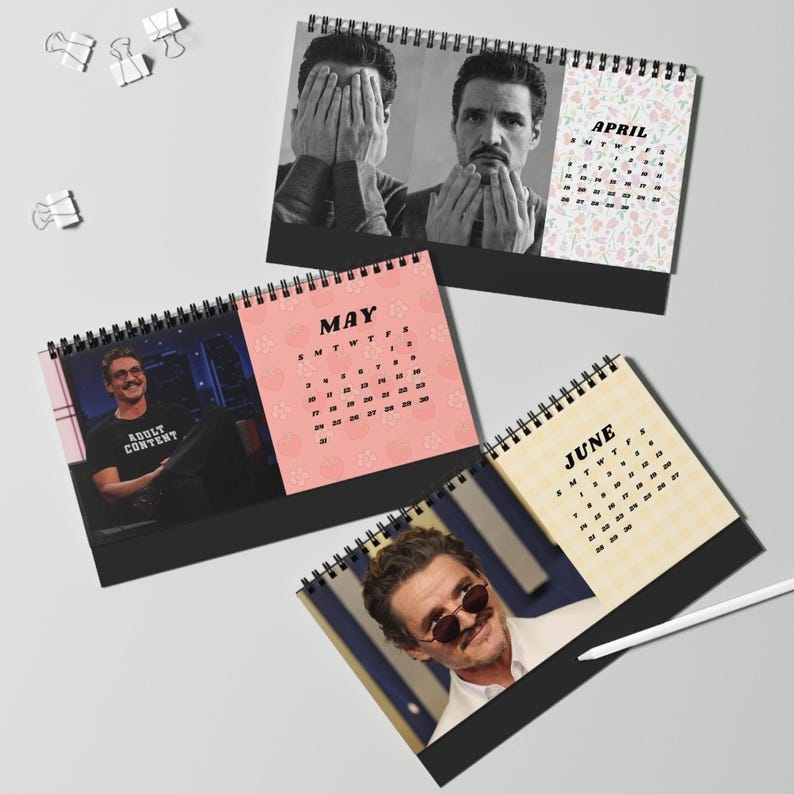 Pedro Pascal 2026 Desktop Calendar - Actor Fan Gift, TV Show Calendar, Pop Culture Desk Planner - Media 2
