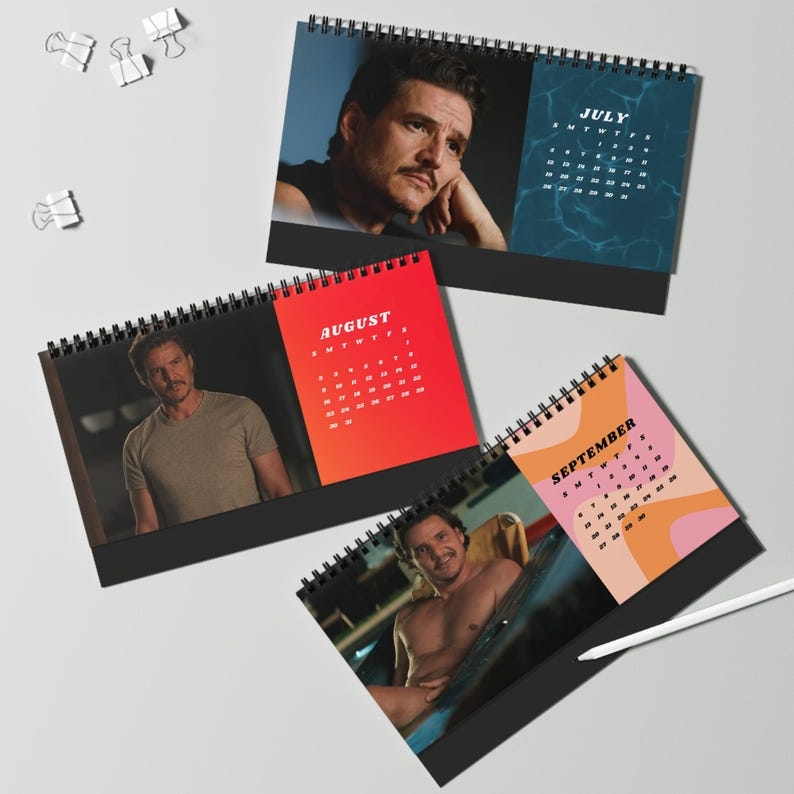 Pedro Pascal 2026 Desktop Calendar - Actor Fan Gift, TV Show Calendar, Pop Culture Desk Planner - Media 3