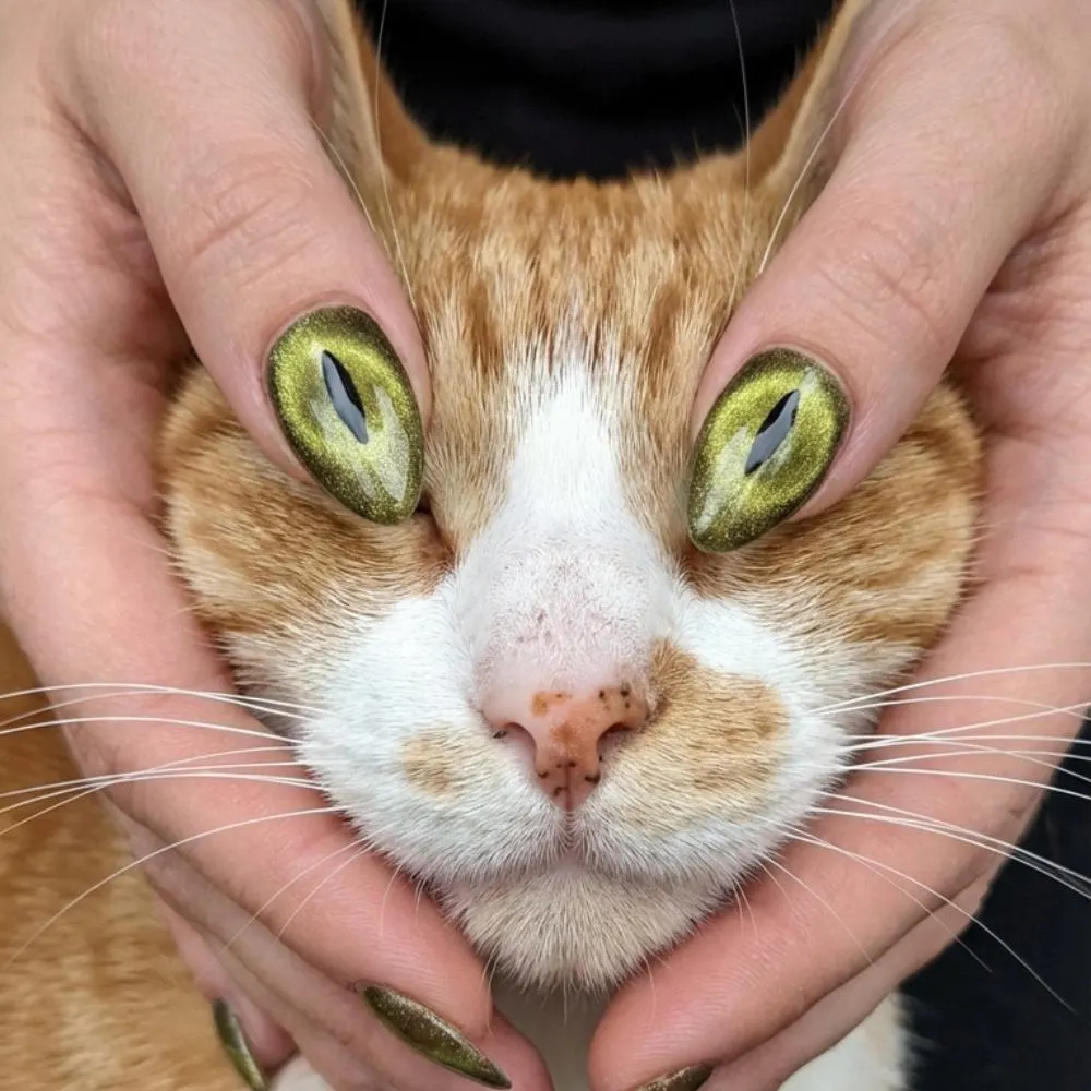 cat eye press on nails, custom cat nails, press on nails, custom press on nails, fake nails, Nails Art, stained glass nails, gold press on nails, 3d press on nails, luxury press on nails, handmade press on nails