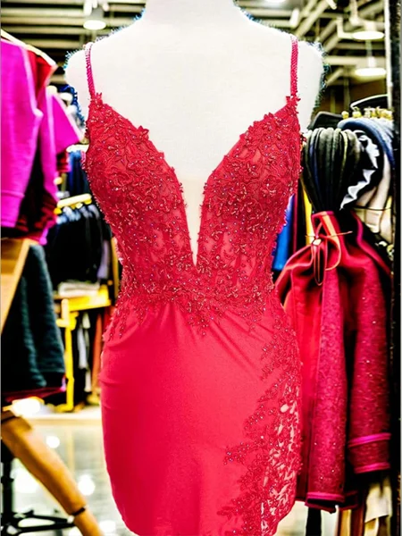 Sheath V-neck Appliques...