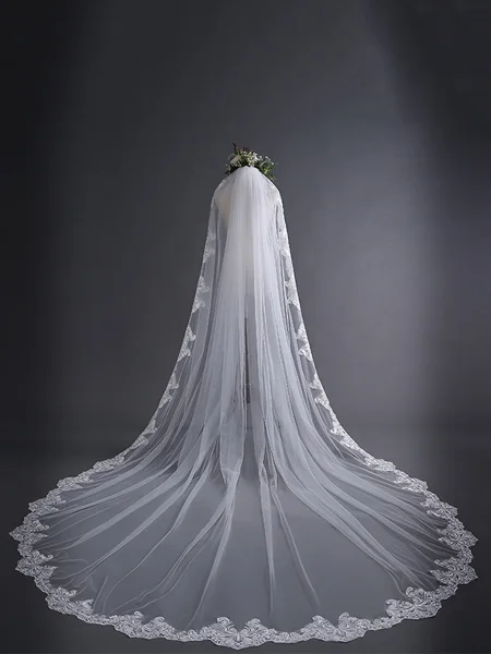 Elegant Tulle With Lace Long Wedding Veils