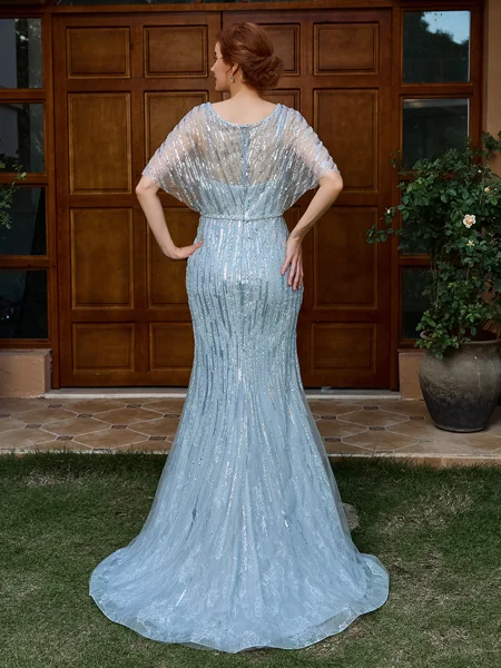 Sheath V-neck Short Sleeves...