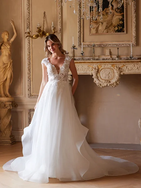 A-Line/Princess Organza Lace V-neck Short Sleeves Court Train Wedding Dresses