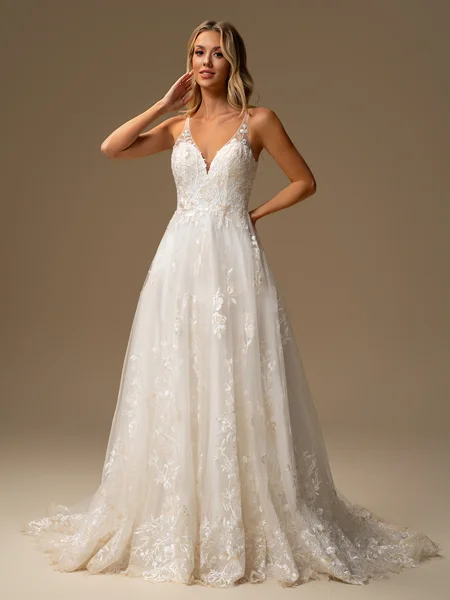 A-line V-neck Appliques...