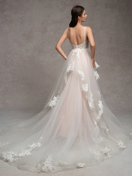 A-line Straps Appliques...