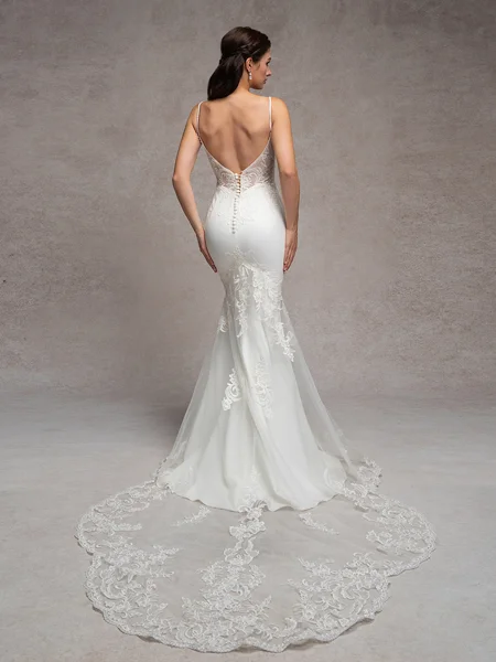 Sheath V-neck Appliques...