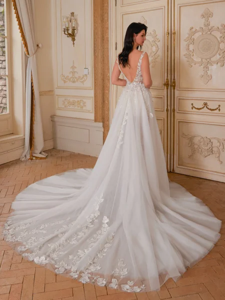 A-line V-neck Appliques...