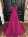 A-Line/Princess V-neck Sweep Train Tulle Evening Dresses With Appliques Lace