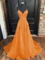 A-Line/Princess V-neck Sweep Train Tulle Evening Dresses With Appliques Lace