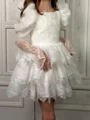 A-line Square Long Sleeves Lace Short/Mini Tulle Flower Girl Dress