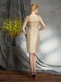 Sheath/Column Bateau Short/Mini Taffeta Mother of the Bride Dresses With Appliques Lace
