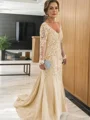 Sheath/Column V-neck Sweep Train Tulle Mother of the Bride Dresses With Appliques Lace
