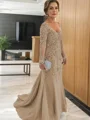 Sheath/Column V-neck Sweep Train Tulle Mother of the Bride Dresses With Appliques Lace