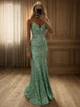 Sheath V-neck Floor-Length Velvet Sequins Dress