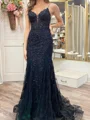 Sheath Spaghetti Straps Appliques Lace Sweep Train Tulle Corset Dress