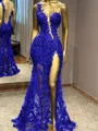 Sheath One-Shoulder Appliques Lace Floor-Length Tulle Prom Dress