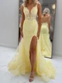 Sheath V-neck Appliques Lace Court Train Tulle Corset Prom Dress