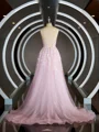 A-Line/Princess V-neck Court Train Tulle Prom Dresses With Appliques Lace