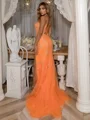 Sheath/Column Spaghetti Straps Tulle Appliques Lace Sweep Train Dress