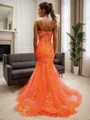Sheath V-neck Appliques Lace Sweep Train Tulle Corset Dress
