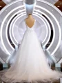 A-Line/Princess V-neck Court Train Tulle Wedding Dresses with Appliques Lace