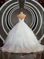 Ball-Gown V-neck Court Train Tulle Wedding Dresses with Appliques Lace