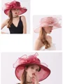 Ladies' Elegant Organza Silk Flower Adjustable Kentucky Derby Hats/Tea Party Hats
