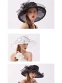 Ladies' Romantic Organza Silk Flower Adjustable Kentucky Derby Hats/Tea Party Hats