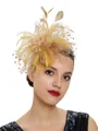 Ladies' Charming Tulle With Feather Tea Party Hats