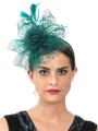 Ladies' Charming Tulle With Feather Tea Party Hats