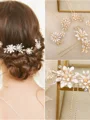 Beautiful Alloy With Flower Combs & Barrettes(5 Pieces)