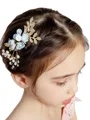 Gorgeous Alloy With Imitation Pearl Combs & Barrettes