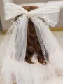 Pretty Tulle With Imitation Pearl Hairpins