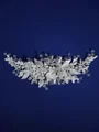 Elegant Crystal Headpieces