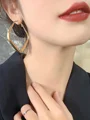 Fascinating Leather Earrings