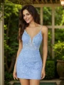 Sheath/Column Tulle Applique Spaghetti Straps Sleeveless Short/Mini Dresses