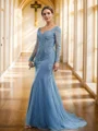 Sheath/Column Tulle Applique V-neck Long Sleeves Sweep Train Mother of the Bride Dresses