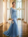 Sheath/Column Tulle Applique V-neck Long Sleeves Sweep Train Mother of the Bride Dresses