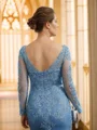 Sheath/Column Tulle Applique V-neck Long Sleeves Sweep Train Mother of the Bride Dresses