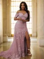 Sheath/Column Tulle Applique Off-the-Shoulder Sleeveless Sweep Train Dresses