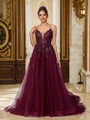 A-Line/Princess Tulle Applique V-neck Sleeveless Court Train Dresses
