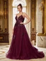 A-Line/Princess Tulle Applique V-neck Sleeveless Court Train Dresses