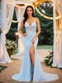 Sheath/Column Tulle Applique V-neck Sleeveless Court Train Dresses