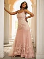 Sheath/Column Tulle Applique Straps Sleeveless Sweep Train Dresses
